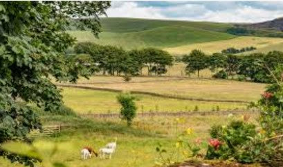 Painting Retreat - Peak District National Park