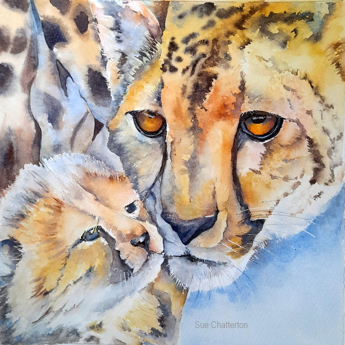 Sue's Original Watercolours for Sale