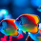 Fin & Flow – Painting Fish in Watercolour- Workshop 15th November 2025