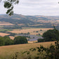 31 October 2026 Making a Statement -  Landscape